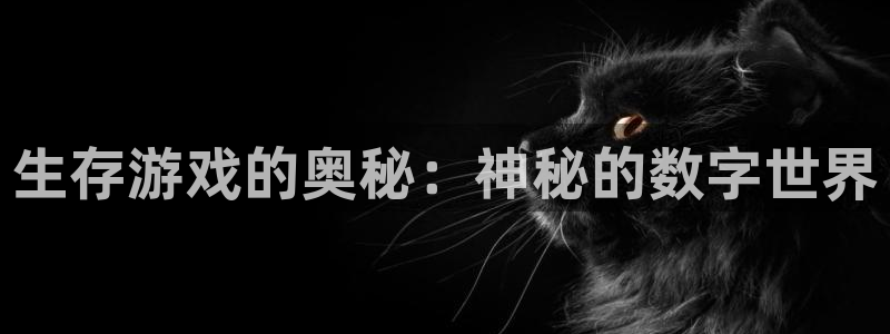 奇亿娱乐登录网址：生存游戏的奥秘：神秘的数字世界