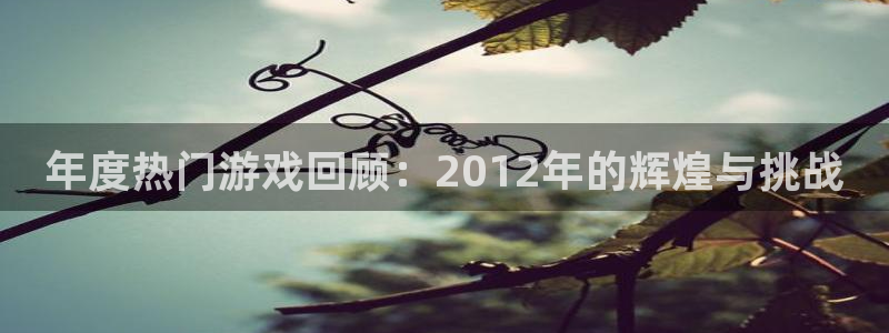奇亿娱乐主管：年度热门游戏回顾：2012年的辉煌与挑战