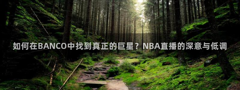 袋鼠直播体育直播入口：如何在BANCO中找到真正的巨星？NBA直播的深意与低调