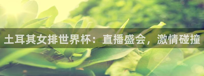 袋鼠直播体育免费观看入口