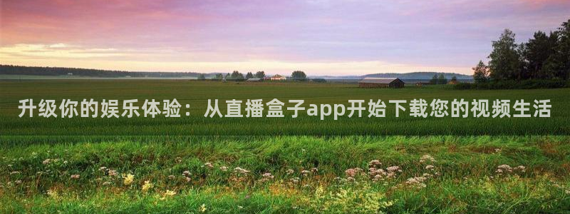 袋鼠直播