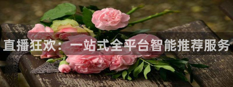 袋鼠体育直播看球：直播狂欢：一站式全平台智能推荐服务