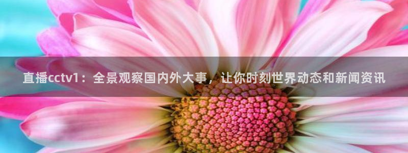 袋鼠直播体育在线直播：直播cctv1：全景观察国内外大事，让你时刻世界动态和新闻资讯