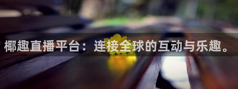 袋鼠体育在线直播