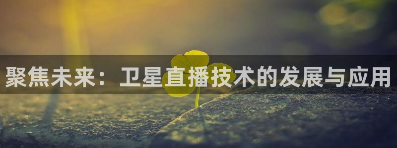 袋鼠体育在线直播：聚焦未来：卫星直播技术的发展与应用