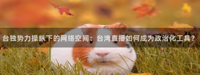 袋鼠直播体育五大球联赛