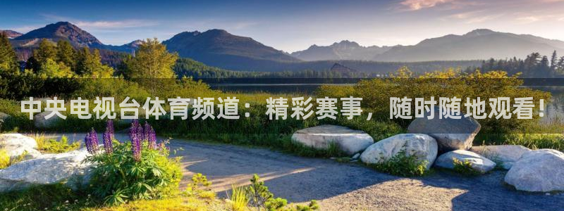 袋鼠直播体育在线观看边看边玩1.新通道.top