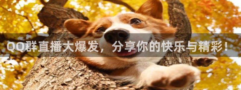 袋鼠体育在线直播免费
