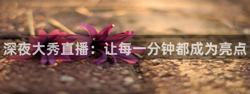 袋鼠直播nba在线观看：深夜大秀直播：让每一分钟都成为亮点