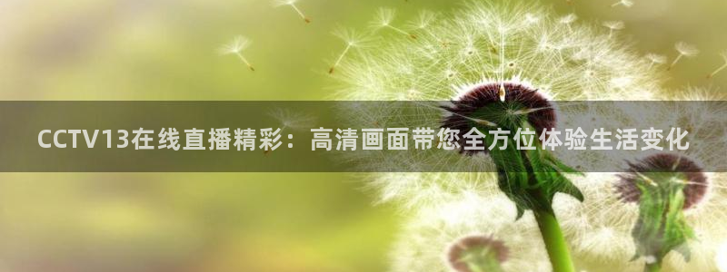 袋鼠直播在线观看
