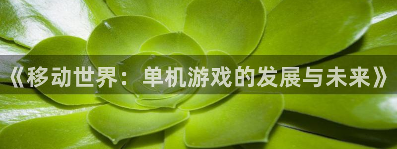 奇亿娱乐科技：《移动世界：单机游戏的发展与未来》