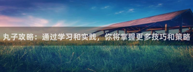 奇亿娱乐注册登录：丸子攻略：通过学习和实践，你将掌握更多技巧