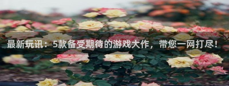 奇亿娱乐Ii