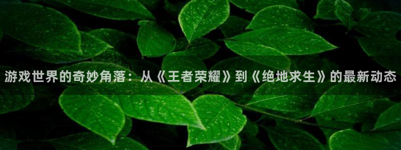 奇亿娱乐手机网页版登录：游戏世界的奇妙角落：从《王者荣耀》到