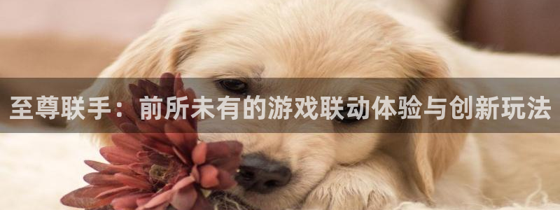 奇亿娱乐登陆：至尊联手：前所未有的游戏联动体验与创新玩法