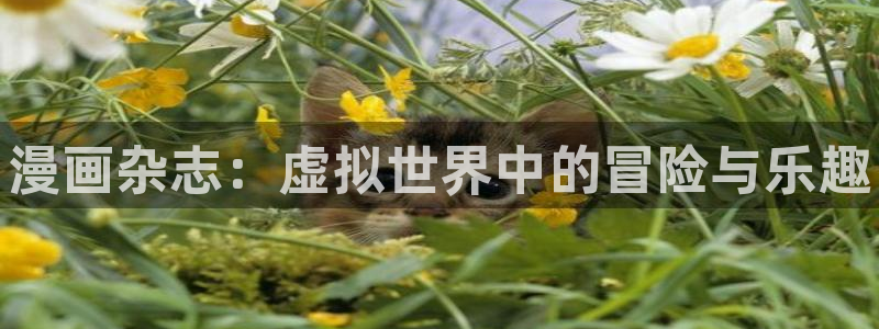 奇亿娱乐娱乐是真的吗：漫画杂志：虚拟世界中的冒险与乐趣